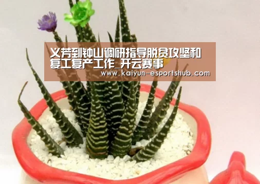 义芳到钟山调研指导脱贫攻坚和复工复产工作_开云赛事(图1) 开云篮球