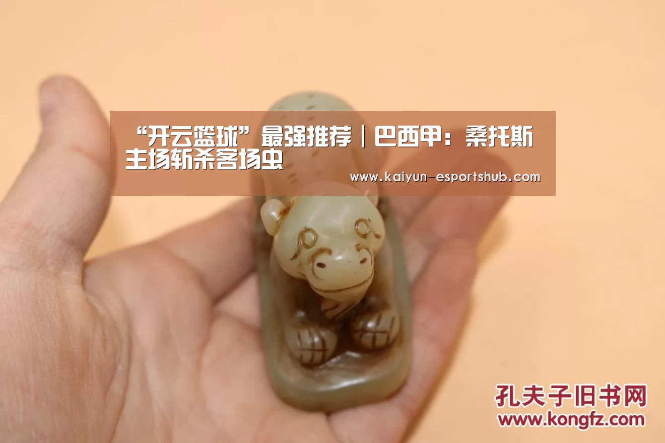 “开云篮球”最强推荐|巴西甲:桑托斯主场斩杀客场虫(图4) 开云篮球